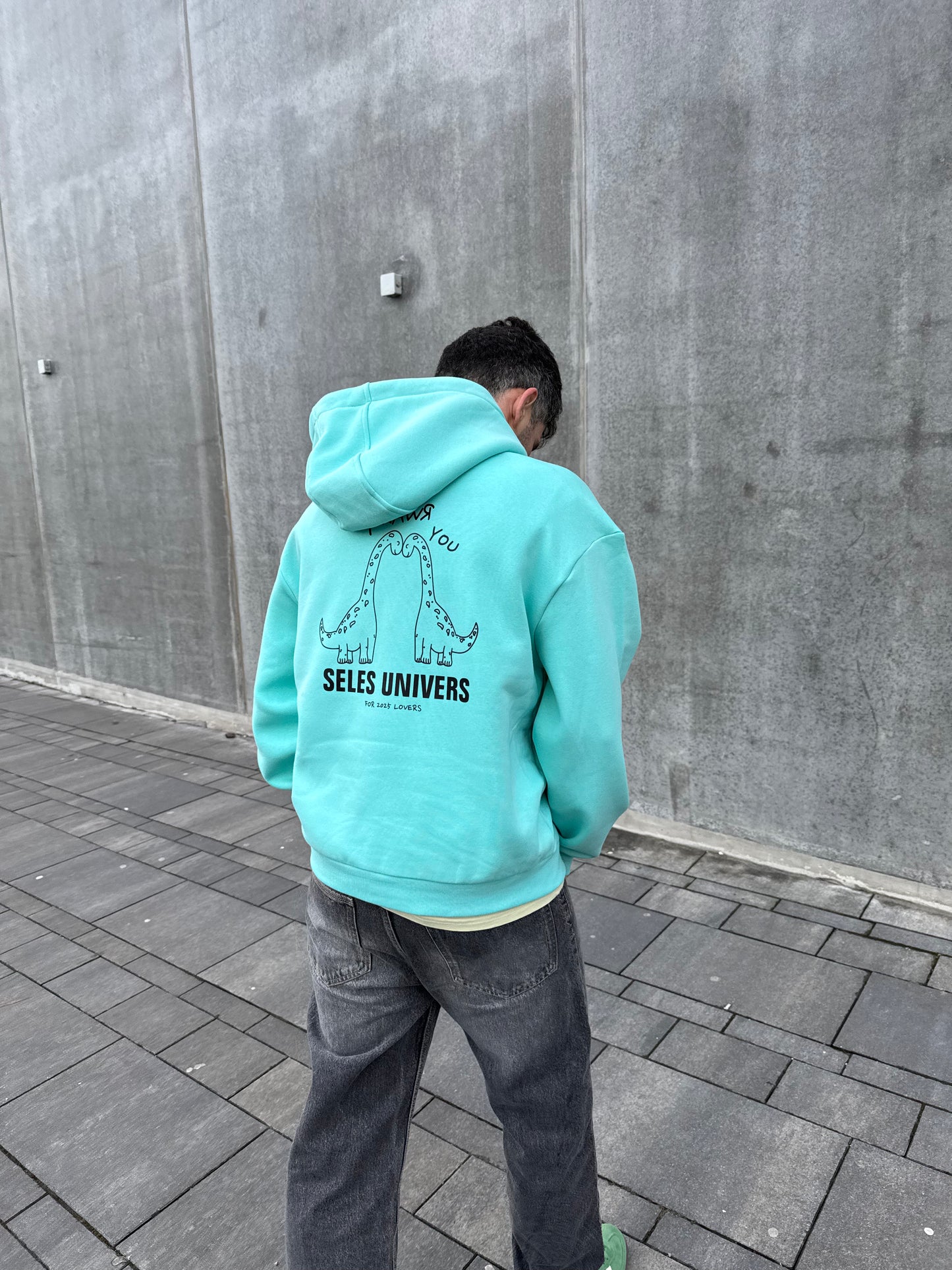 Sweat à capuche "dino" vert-bleu