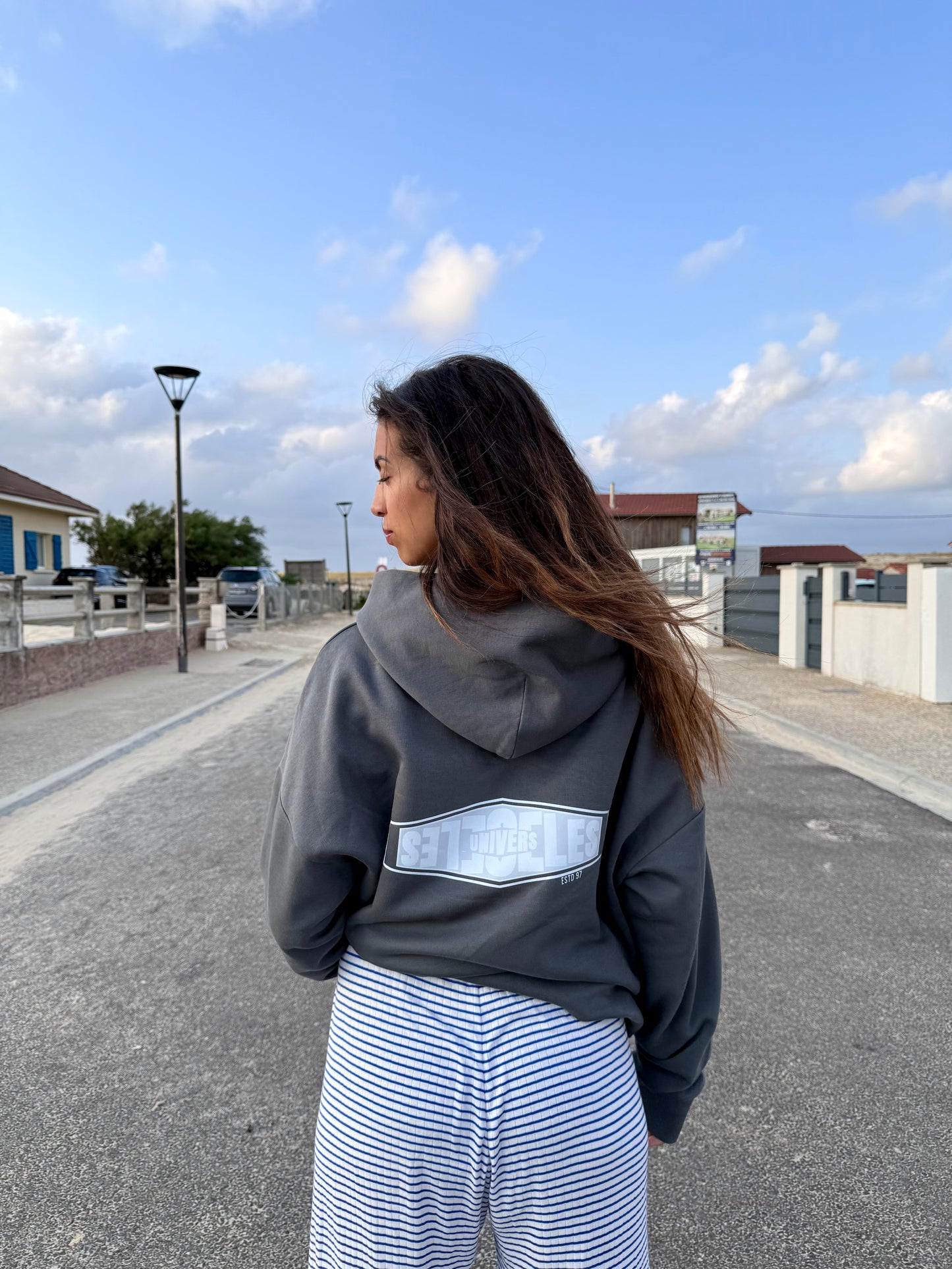 Sweat à capuche gris "Signature"