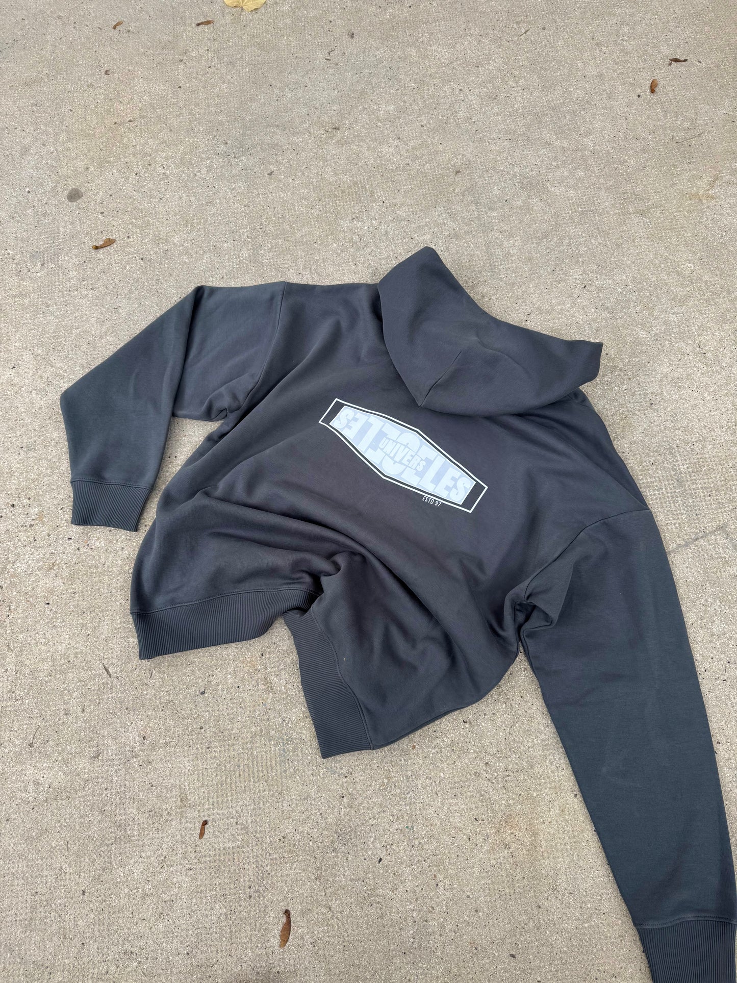 Sweat à capuche gris "Signature"